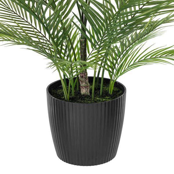 60" Green Areca Palm Plant 4