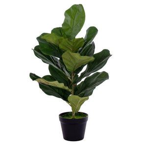 27" Artificial Two Stem Green Fiddle Leaf in Woven 2