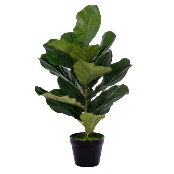 27" Artificial Two Stem Green Fiddle Leaf in Woven 2