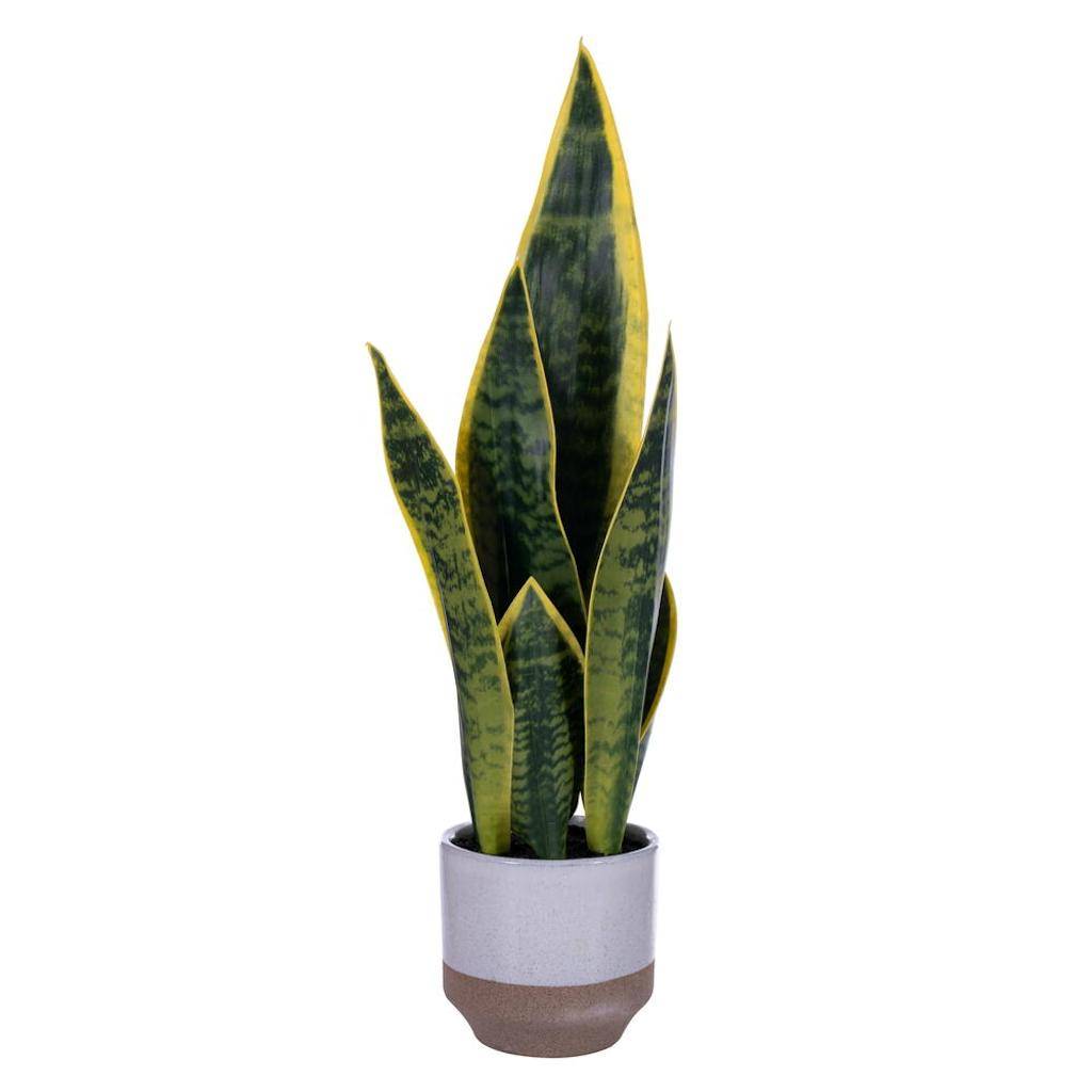 20.5" Artificial Green Snake Plant Potted Plant 1