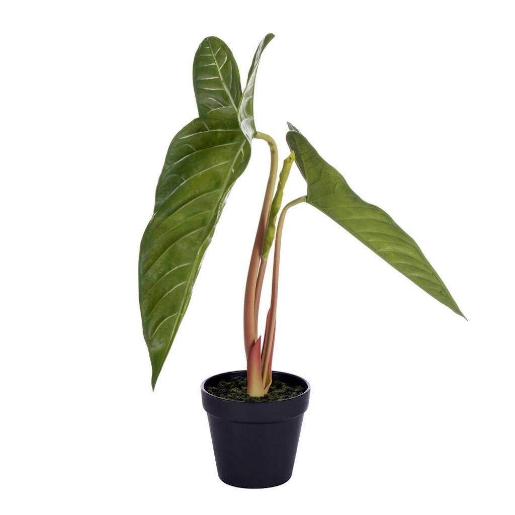 17" x 12" Artificial Alocasia Frydek Potted Plant 1