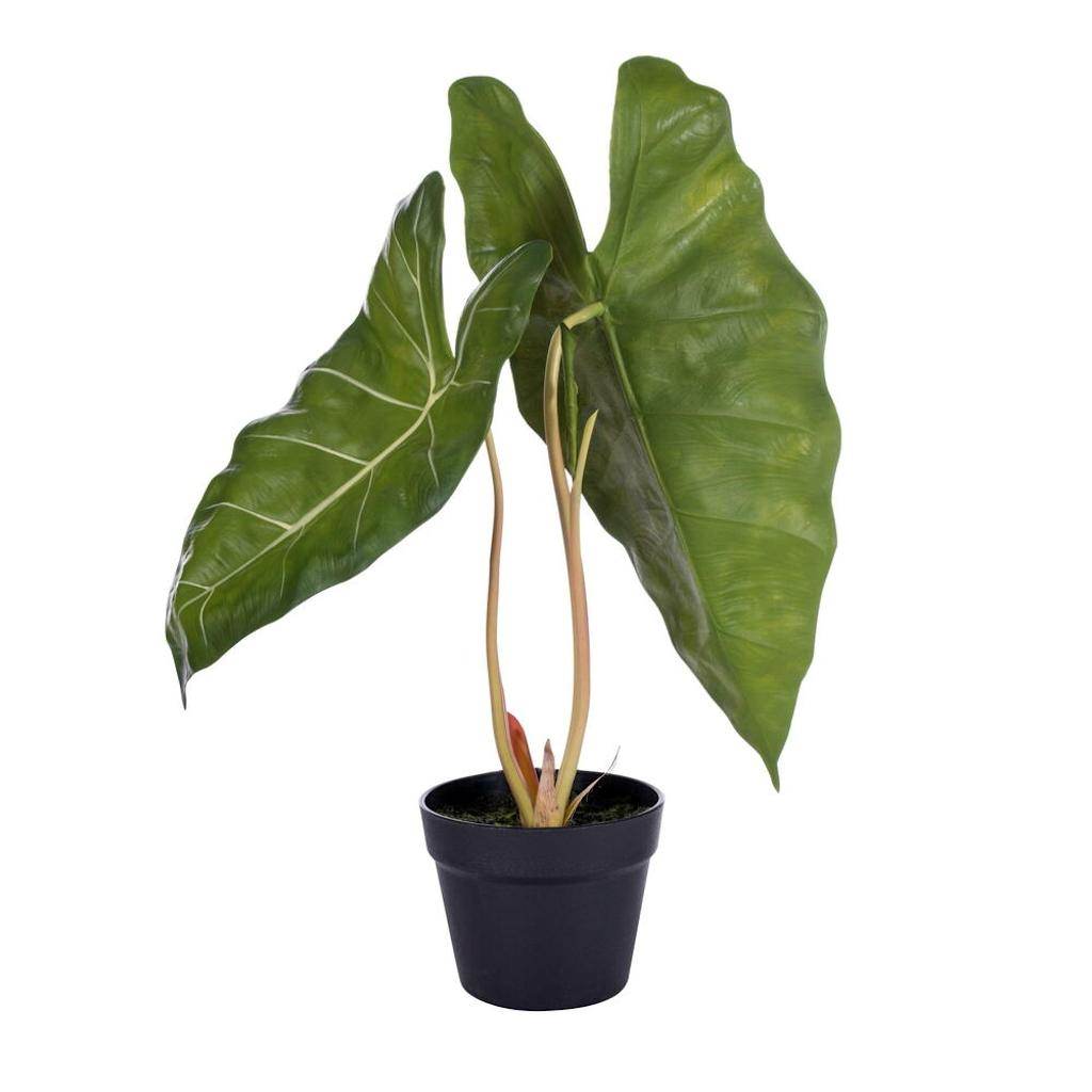 24" x 17" Artificial Alocasia Zebrina Potted Plant 1