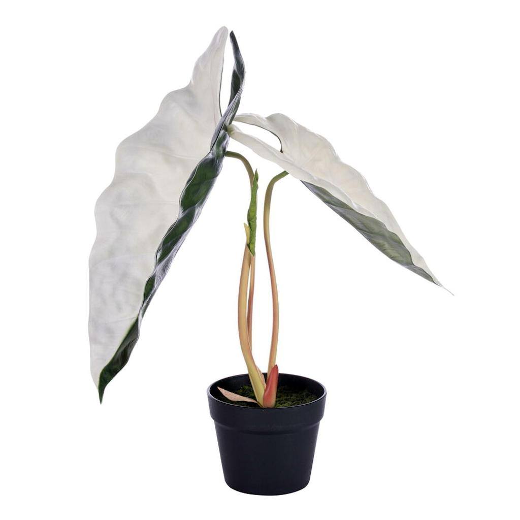 26" x 15" Artificial Alocasia Sanderiana Potted Plant 1