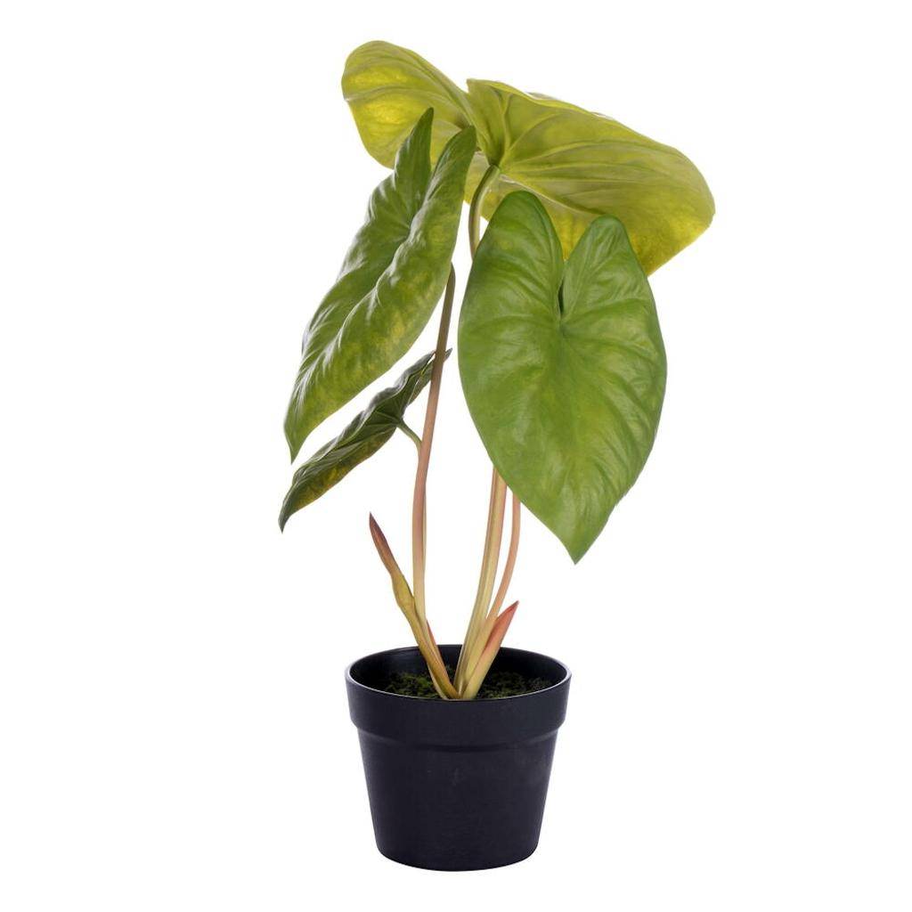 18" x 13" Artificial Alocasia Acuminata Potted Plant 1