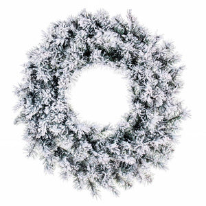 24" Frosted Glacier Pine Wreath 150 Tips Unlit Fir 1