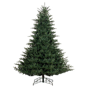 6.5' x 60" Bellevue Fraser Fir 3748 Tips Unlit 1