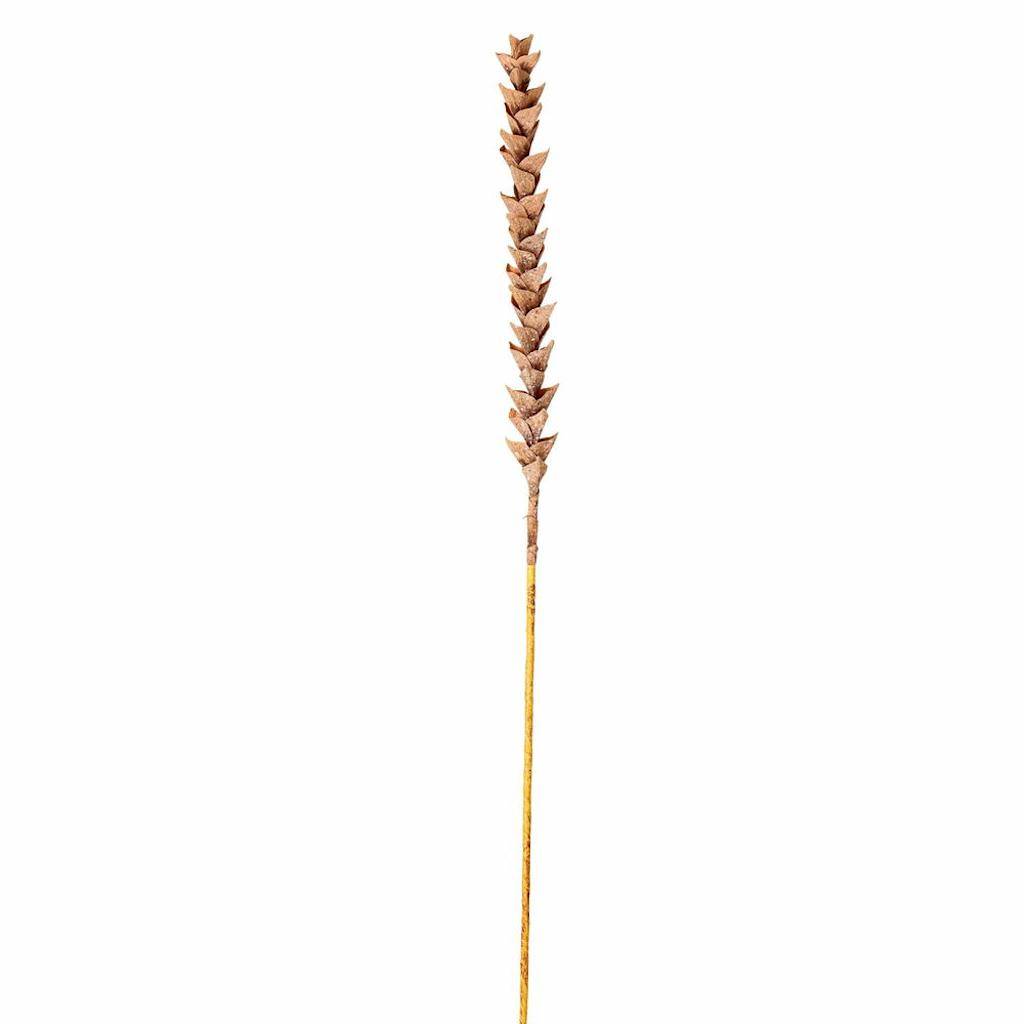 34" Artificial Brown Design Polynesian Stem 1