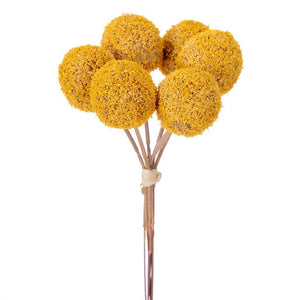 7" Dark Yellow Billy Button Stem (6 Pack) 1