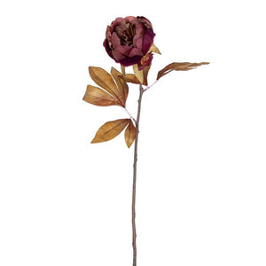 21"  Red/Brown Peony Stem (6 Pack) 1