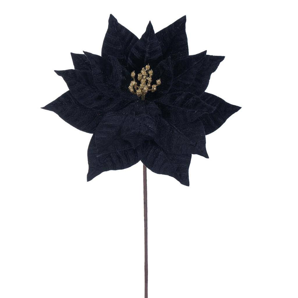 21.5" Black Poinsettia 12" Flower (6 Pack) 1