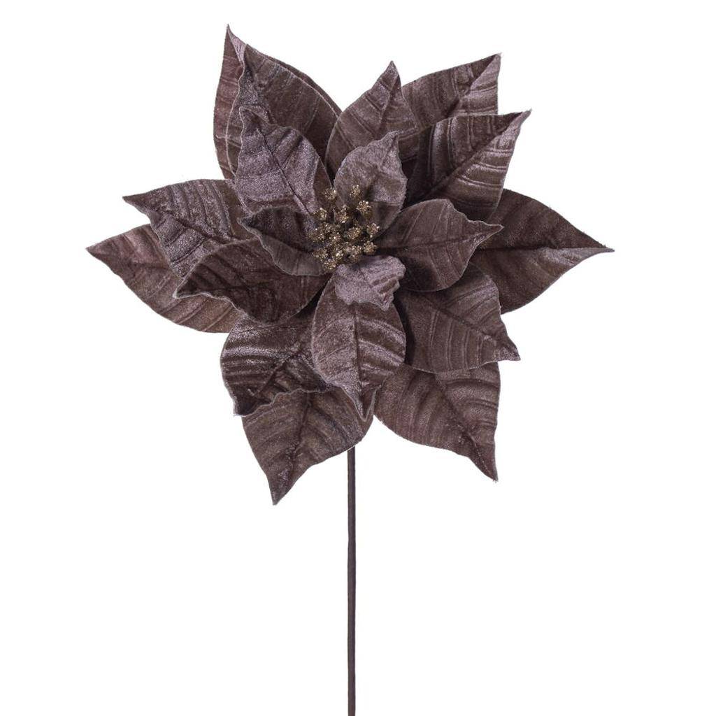 21.5" Mocha Poinsettia 12" Flower (6 Pack) 1