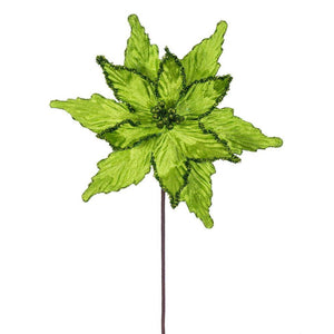 21.5" Lime Poinsettia 12" Flower (6 Pack) 1