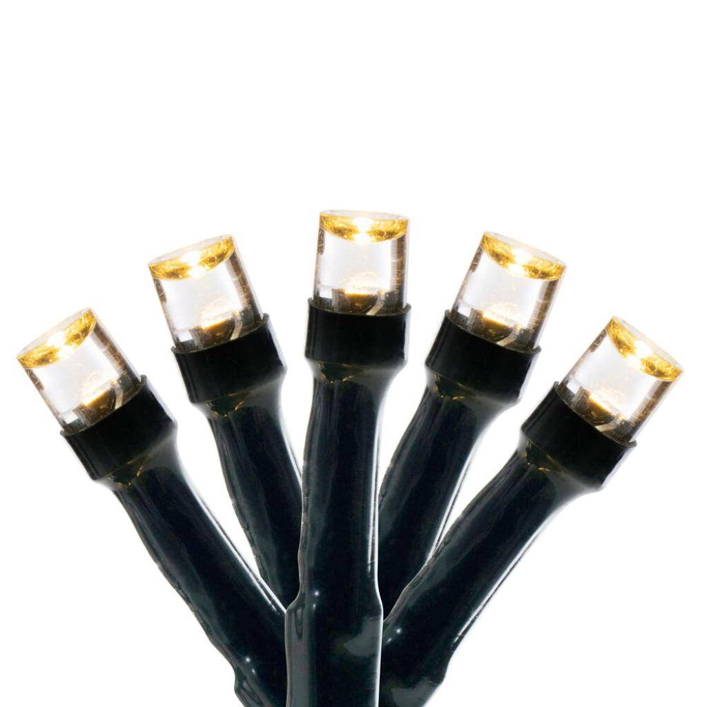 40' 100 Light LED Light Set Warm White Wide Angle Battery Operated Green Wire 1