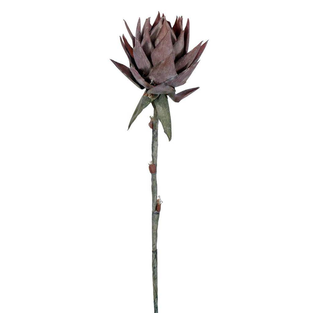 37" Artificial Red Dried Protea Stem (2 Pack) 1