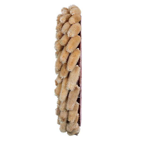 24" Cream Natural Hemp Shell Wreath 3