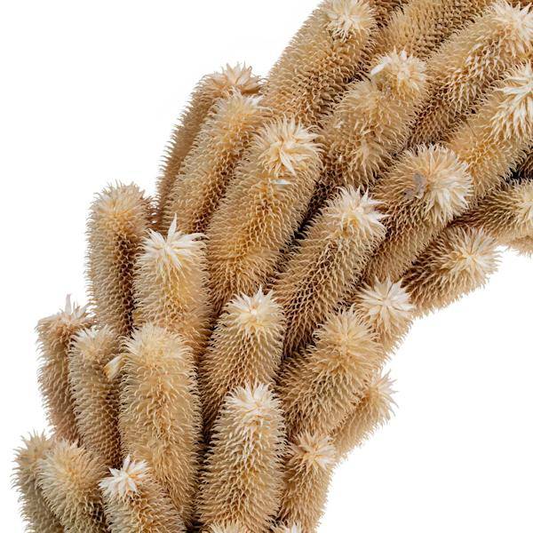 24" Cream Natural Hemp Shell Wreath 4