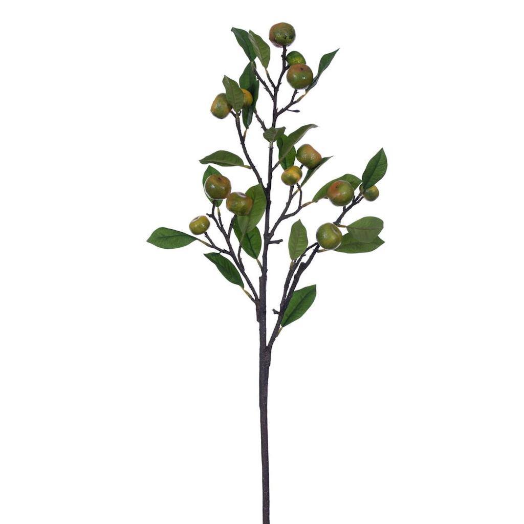 33” Calamondin Calamansi Fruit & Leaf Branch 1