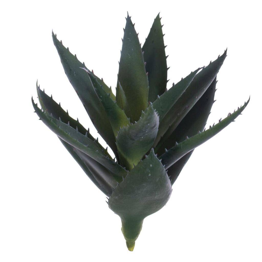 11.5" Green Aloe Vera Artificial Stem (2 Pack) 1