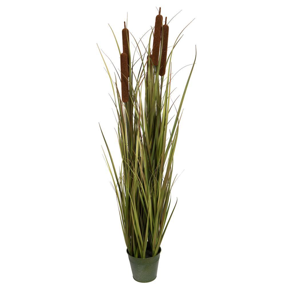 48" Brown Cattail Grass in Iron Pot 1