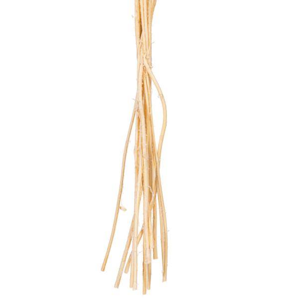 16-20" Bleached Craspedia Natural Preserved Flower Bundle 3