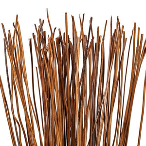 30" Fern Reed Preserved Foliage Bundle 2