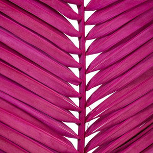 44" Raspberry  Dried Foliage Bundle (6 Pack) 2