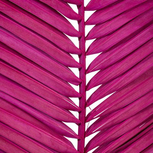 44" Raspberry  Dried Foliage Bundle (6 Pack) 2