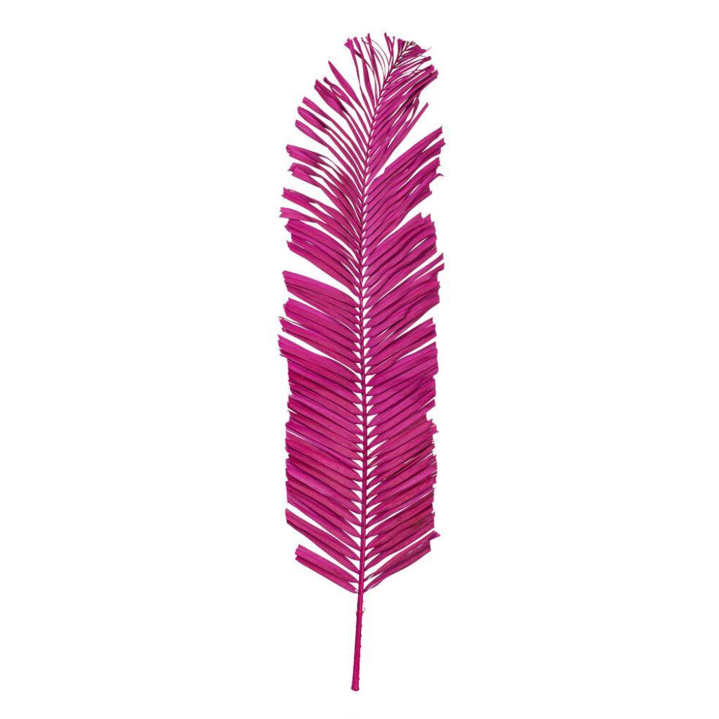 44" Raspberry  Dried Foliage Bundle (6 Pack) 1