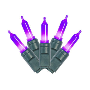 25' 50 Light Purple Frosted LED Christmas Light Set 1