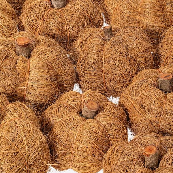 2.5"-3" Coconut Coir Pumpkin (24 Pack) 2