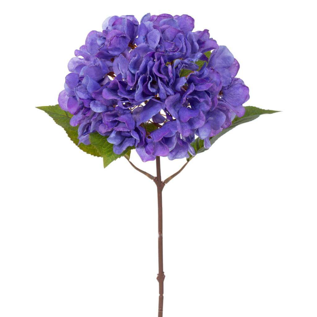 20" Coffee Hydrangea Stem (2 Pack) 1