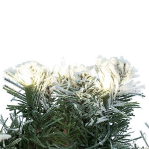 24" Frosted Glacier Dura-Lit 50 Light Artificial Christmas Wreath 2