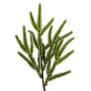 23.5" Potted Green Norfolk Pine Artificial Tree 2