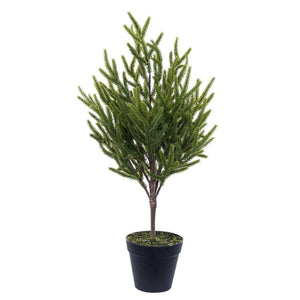23.5" Potted Green Norfolk Pine Artificial Tree 1