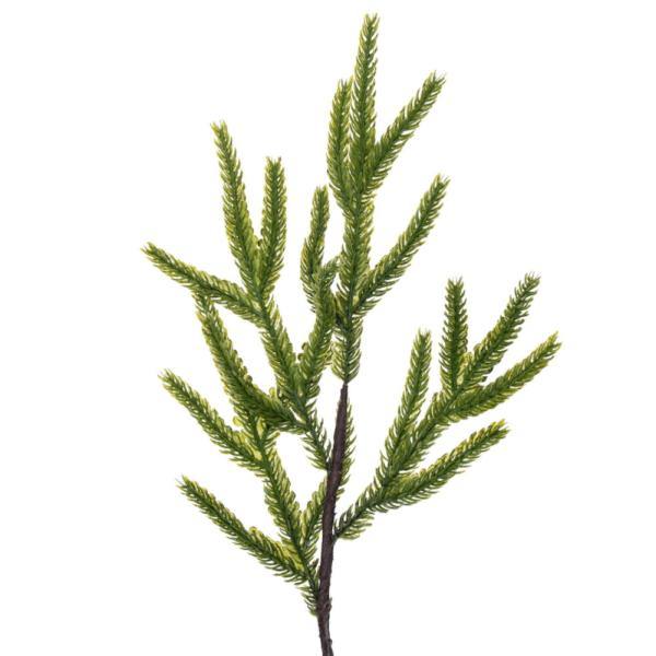 32" Potted Green Norfolk Pine Artificial Tree 2