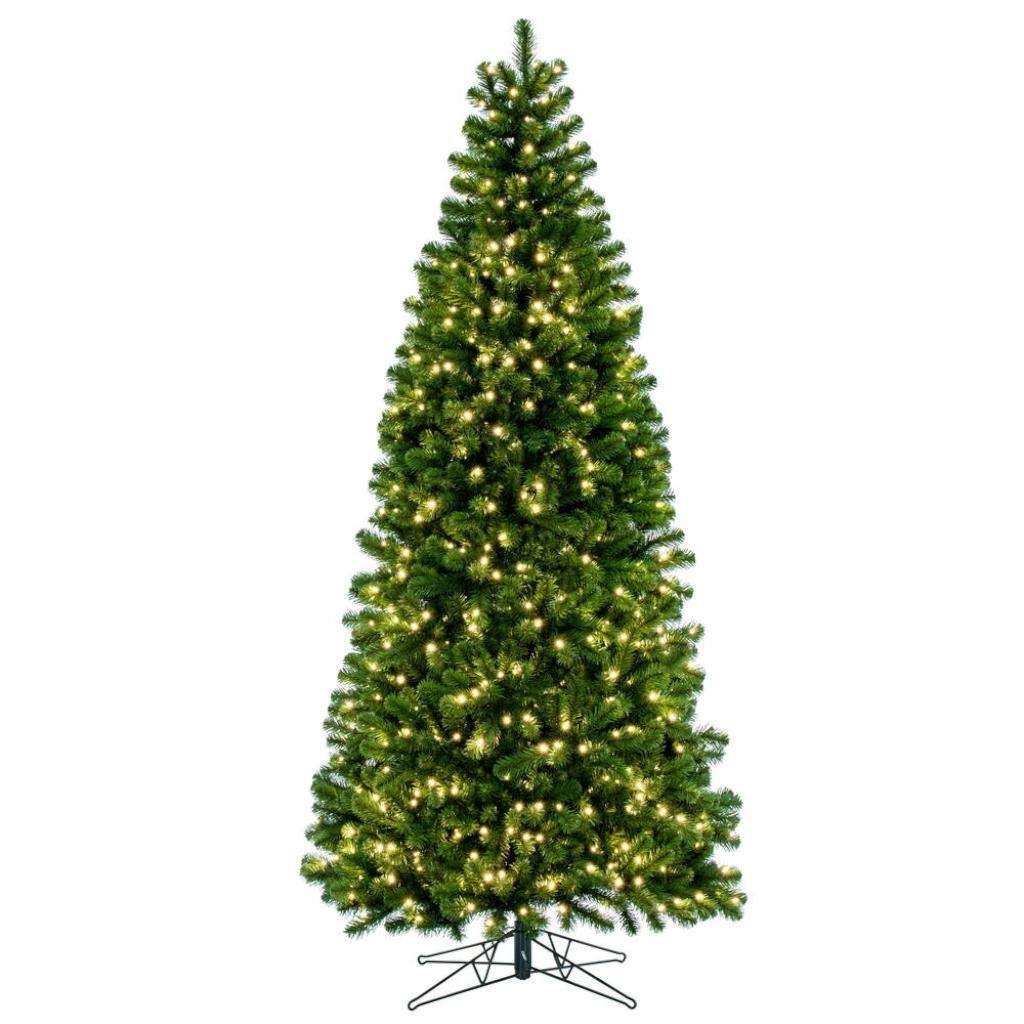 6.5' x 38" Deluxe Sequoia 500 Warm White Light Alaskan Artificial Christmas Tree 1