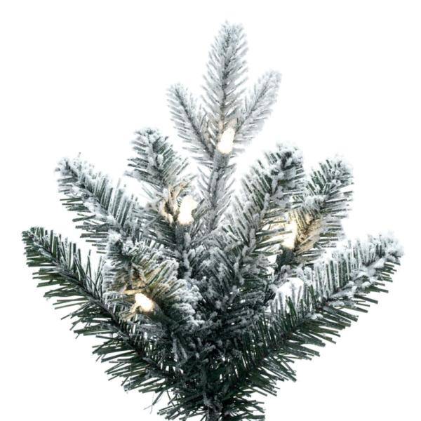 6' x 39" Frosted Potted Spruce 200 Light Warm White 2