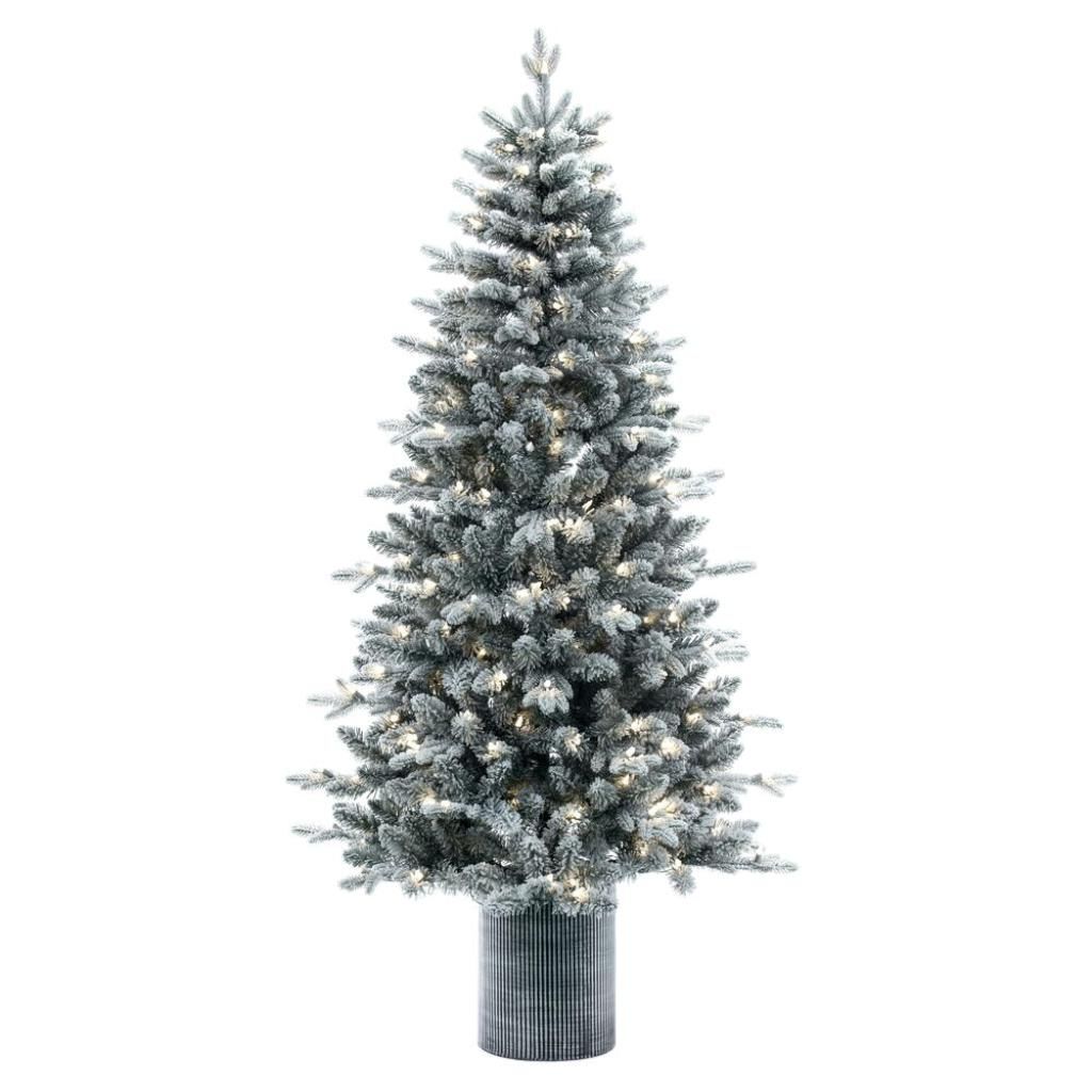 6' x 39" Frosted Potted Spruce 200 Light Warm White 1