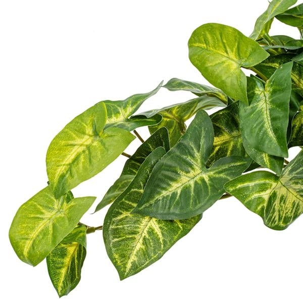 11" Artificial Green Syngonium Bush (2 Pack) 2
