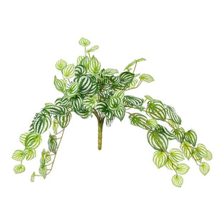 25" Artificial Green Watermelon Peperomia Spray 1