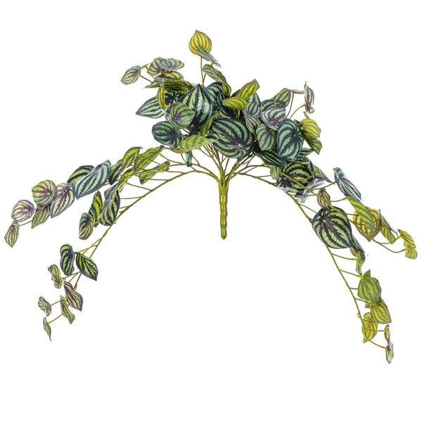 25" Artificial Green Piccolo Peperomia Bush 1