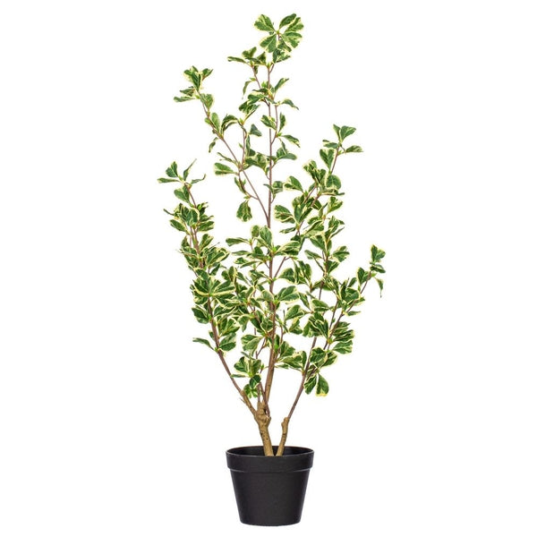 36' Artificial Variegated Triangle Ficus Bush 1
