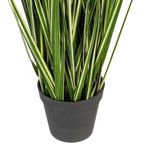 60" Green Evergold Grass Potted Artificial Decorative Grass 3