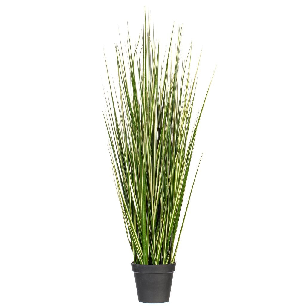 60" Green Evergold Grass Potted Artificial Decorative Grass 1