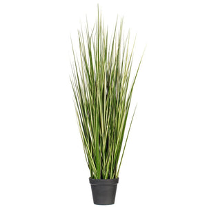 60" Green Evergold Grass Potted Artificial Decorative Grass 1