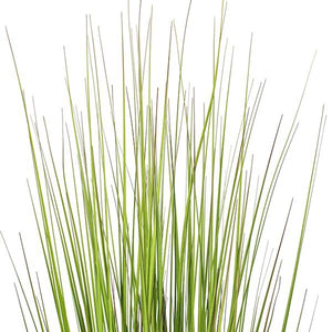 48" Green/Burgundy Flax Grass Potted Artificial Decorative Grass 2