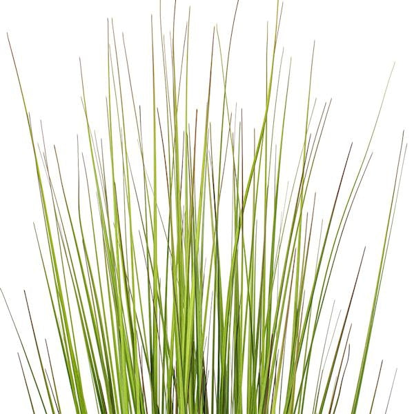 48" Green/Burgundy Flax Grass Potted Artificial Decorative Grass 2