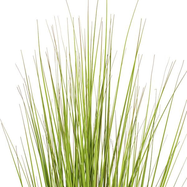 60" Green/Burgundy Flax Grass Potted Artificial Decorative Grass 2