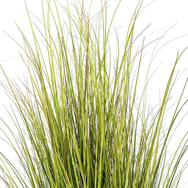 48" Green/Brown Switchgrass Potted Artificial Plant 2
