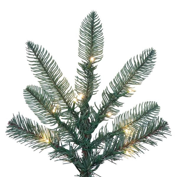 5' x 40" Alberta Blue Spruce 250 LED Light Prelit Artificial Christmas Tree 2